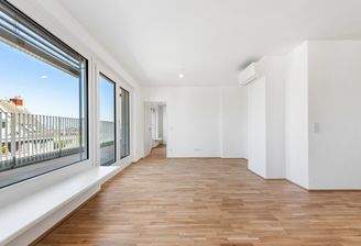 PMP456-AN-24955-Top 43-010