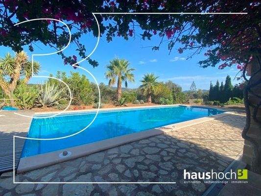 Pool und Terassen (10)