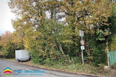 Neckargemünd Grundstücke, Neckargemünd Grundstück kaufen