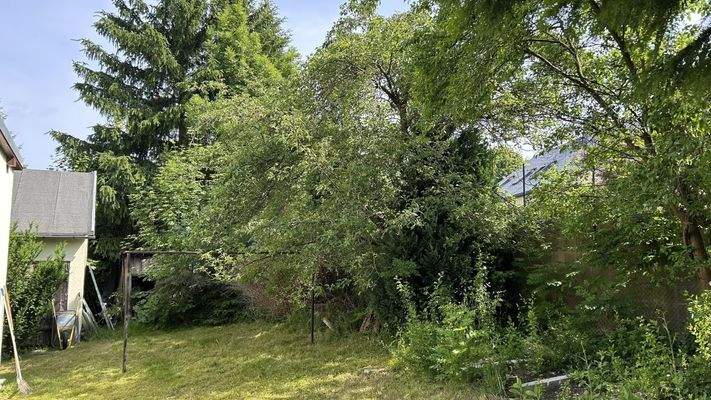 Gartenanteil hinter dem Haus