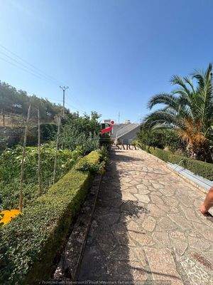 WhatsApp Image 2024-09-06 at 13.21.48 (13).jpeg