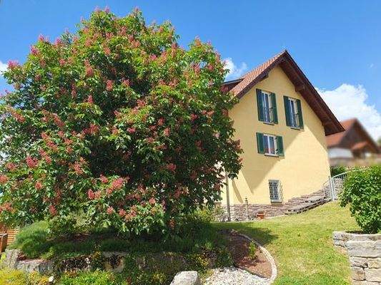 Außenansicht/Außenanlage