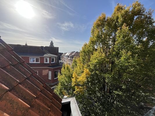 Ausblick vom Balkon