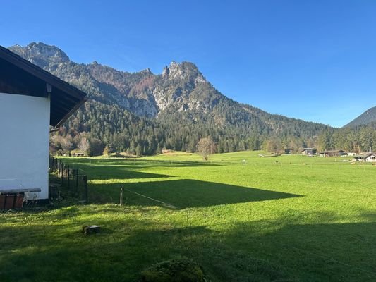 Ausblick Garten