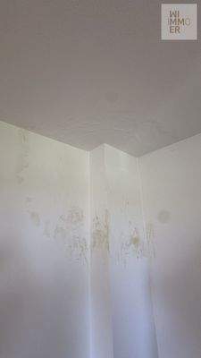 Östlicher Gebäudeteil OG - Kaminversottung:Stockflecken (2)