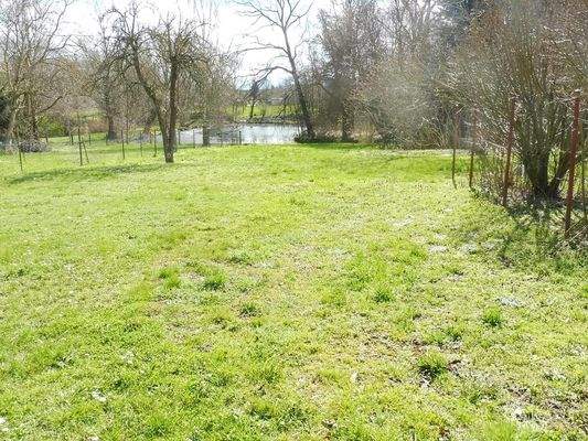 04 Gartengrundstück