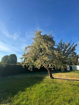 PHOTO-2026-01-14-10-49-01 6.jpeg