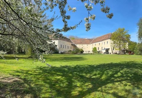  Häuser,  Haus kaufen