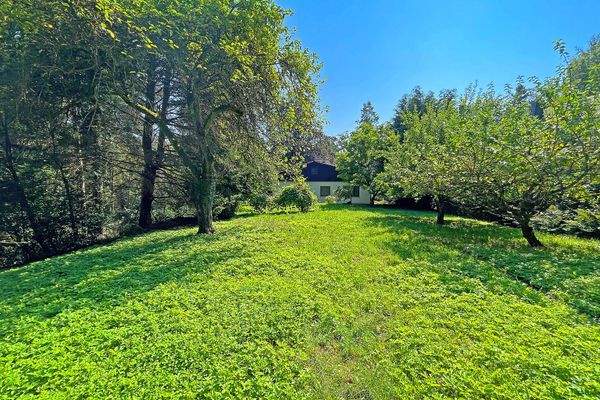 Weitläufiges Grundstück