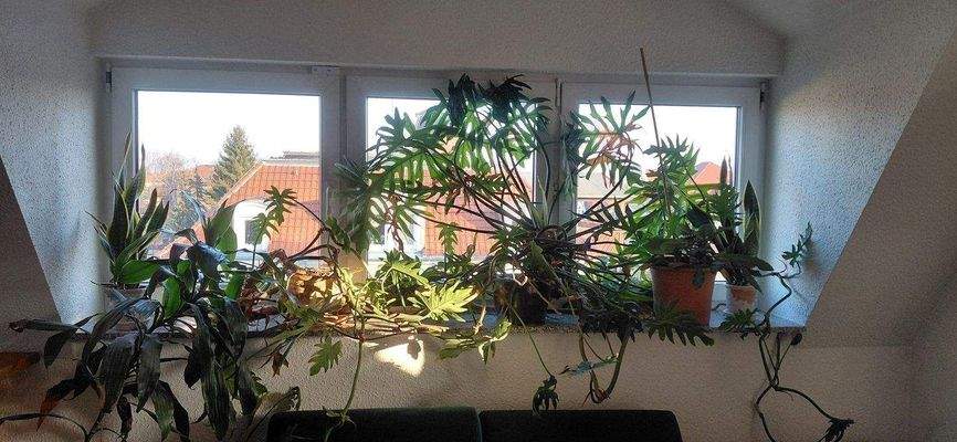 große Dachgaube im Wohnzimmer.jpg