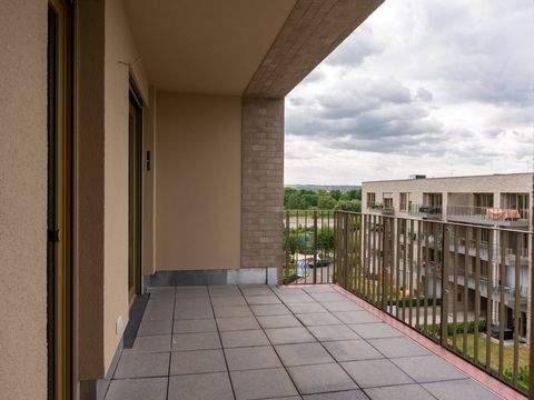 Dresden Wohnungen, Dresden Wohnung mieten
