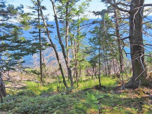 Cape Breton - Roberta - Einzigartiges 79-Hektar-Ar