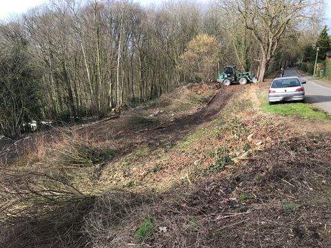 Bad Bentheim Grundstücke, Bad Bentheim Grundstück kaufen