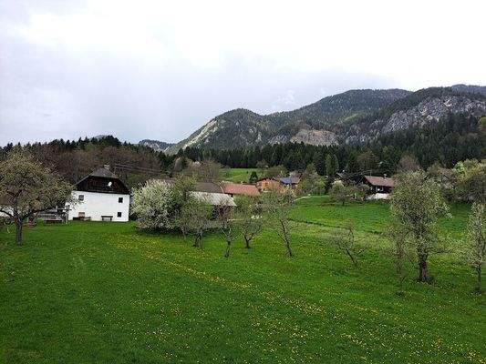 Blick nach Norden.jpg
