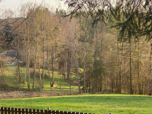 mhmfIhUQ - Kopie.jpeg