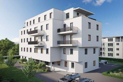 Steyr Büros, Büroräume, Büroflächen 