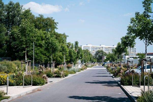 Neu ausgebaute Lili-Elbe-Straße