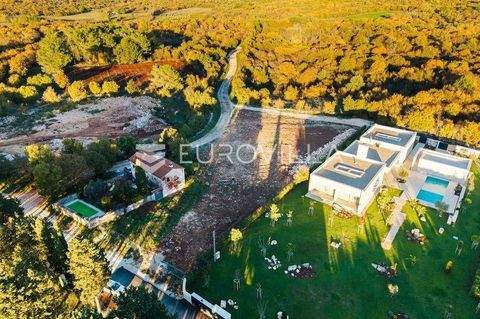 Bale Bauernhöfe, Landwirtschaft, Bale Forstwirtschaft