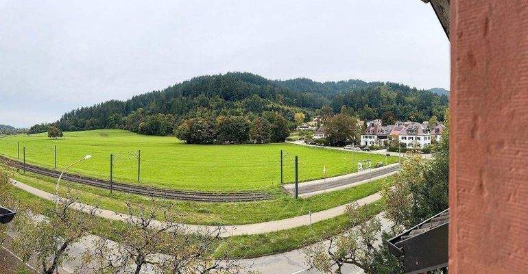 Wiehre-Günterstal: 4x GründerzeitWhg + Fabrik-Loft