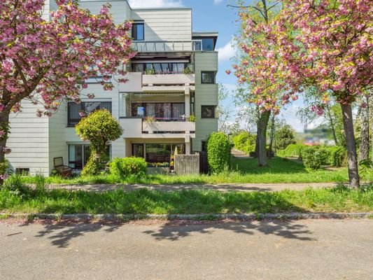 Südansicht mit Balkon