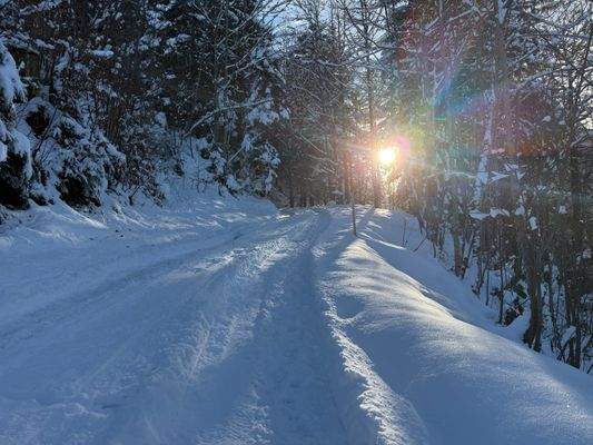 Grundstück mit Ferienhauswidmung in den Alpen