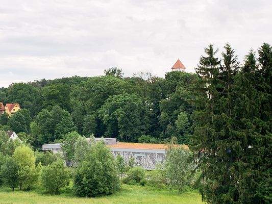 Fensterausblick Wiesengrund.jpg