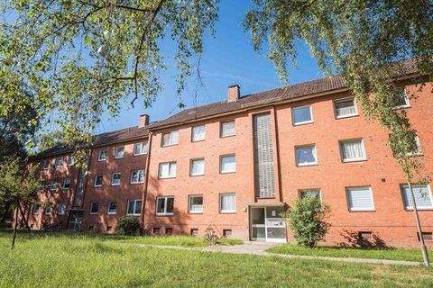 Geesthacht Wohnungen, Geesthacht Wohnung mieten