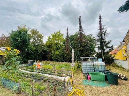 2 Bauplätze möglich