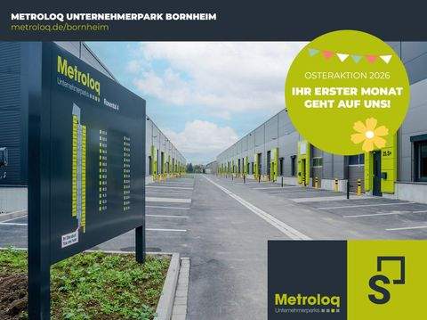 Bonn Halle, Bonn Hallenfläche