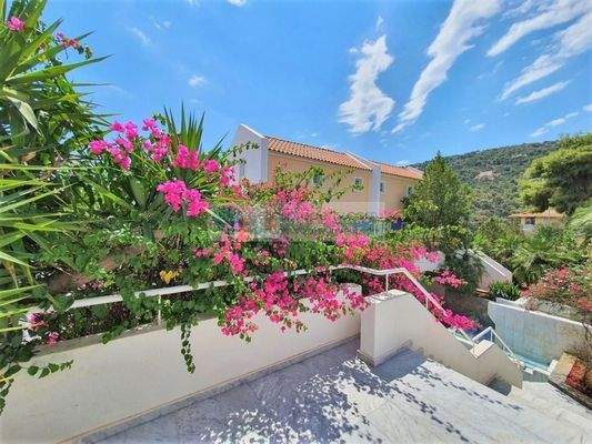 9ff83052e0574f0391c1aa5a7b4f8547-original