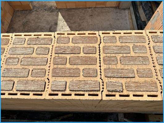 ökologische Ziegelwände