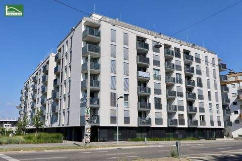 Wien Wohnungen, Wien Wohnung mieten