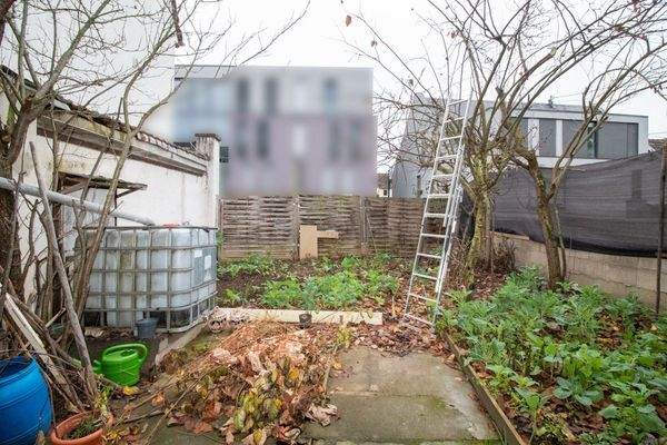 Garten/ potenzielle Parkplätze 