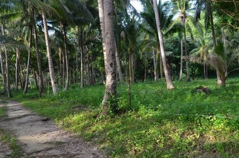 Odiongan Grundstücke, Odiongan Grundstück kaufen