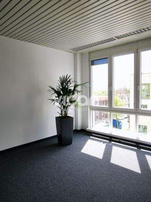 Büro 5