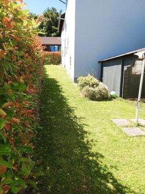 Seitlicher Gartenweg mit Sichtschutz-Hecke 