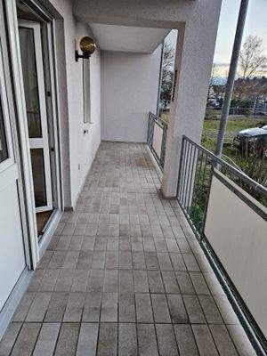 WhatsApp Image 2025-11-26 at 16.35.57.jpeg