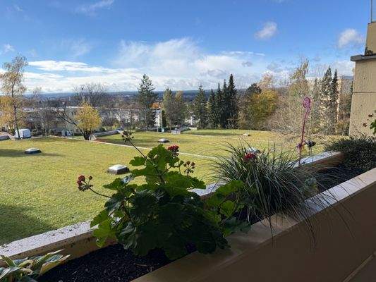 4,5 Zimmer Wohnung.jpeg