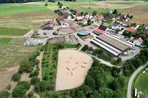 Burgthann Bauernhöfe, Landwirtschaft, Burgthann Forstwirtschaft