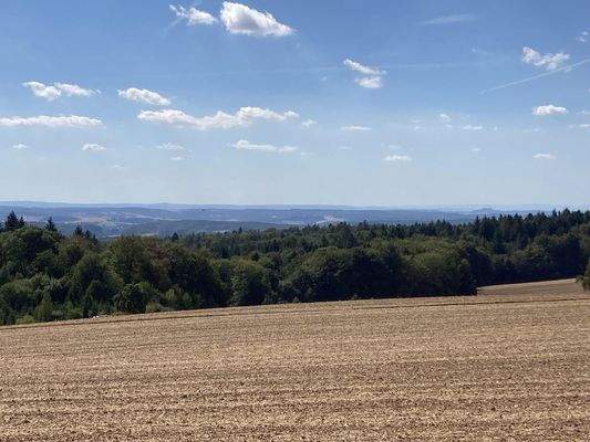 Blick in die Rheinebene 