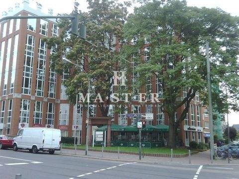 Frankfurt Ladenlokale, Ladenflächen 