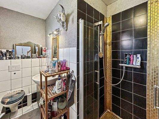 Duschbad Erdgeschoss