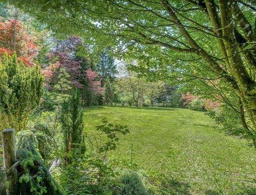 HP3-Grundstück-Ebenau-2