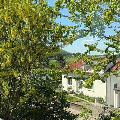 Ausblick von der Terrasse zur Straße
