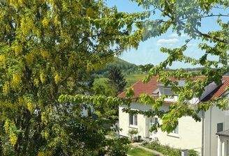 Ausblick von der Terrasse zur Straße