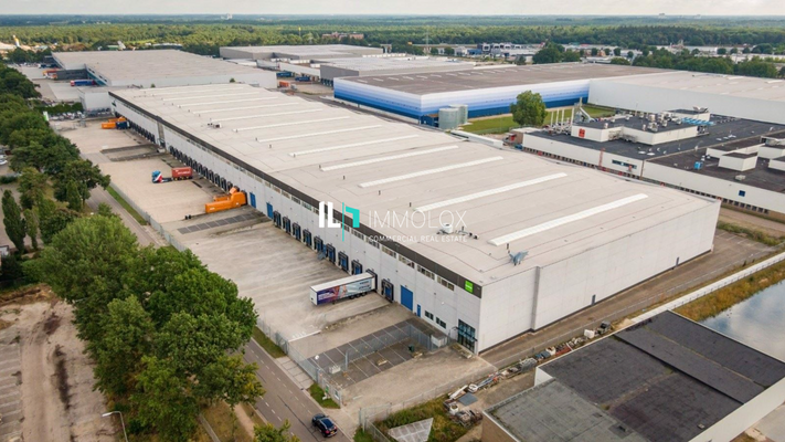 Telefon: 069 50699990