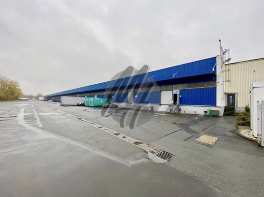 INFOS UNTER: 06171-586000