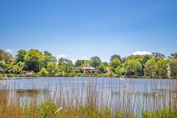 Ferienhaus direkt an der Schlei