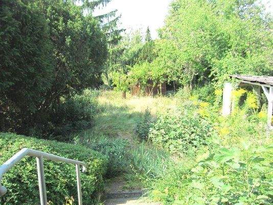 Wintergarten-Garten 1.JPG