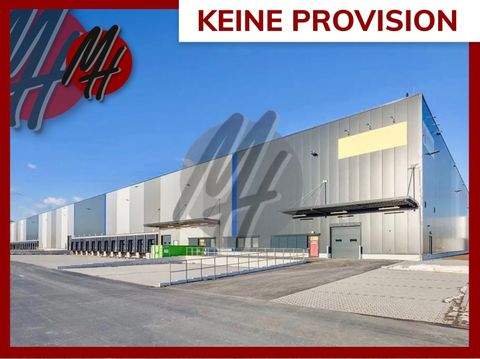 Duisburg Halle, Duisburg Hallenfläche